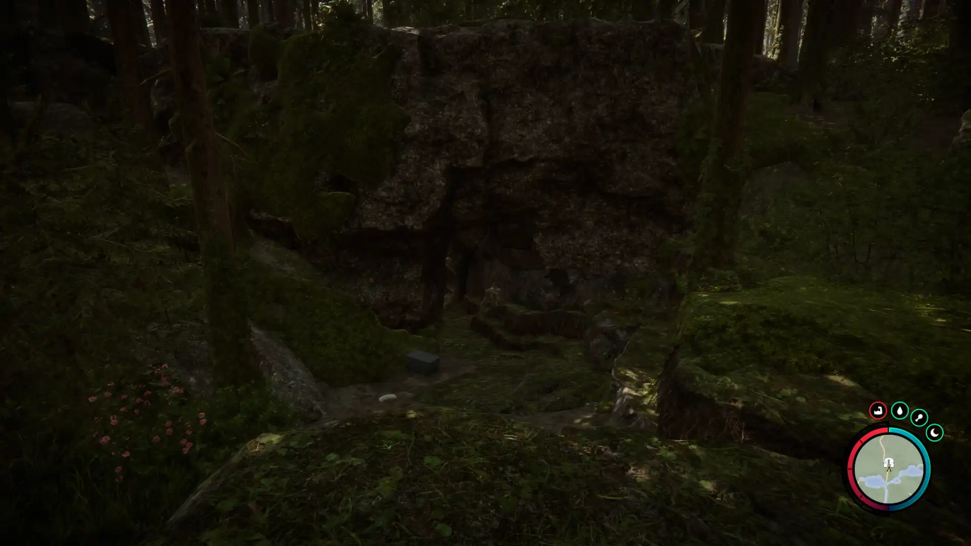 Sons of the Forest Cross Cave