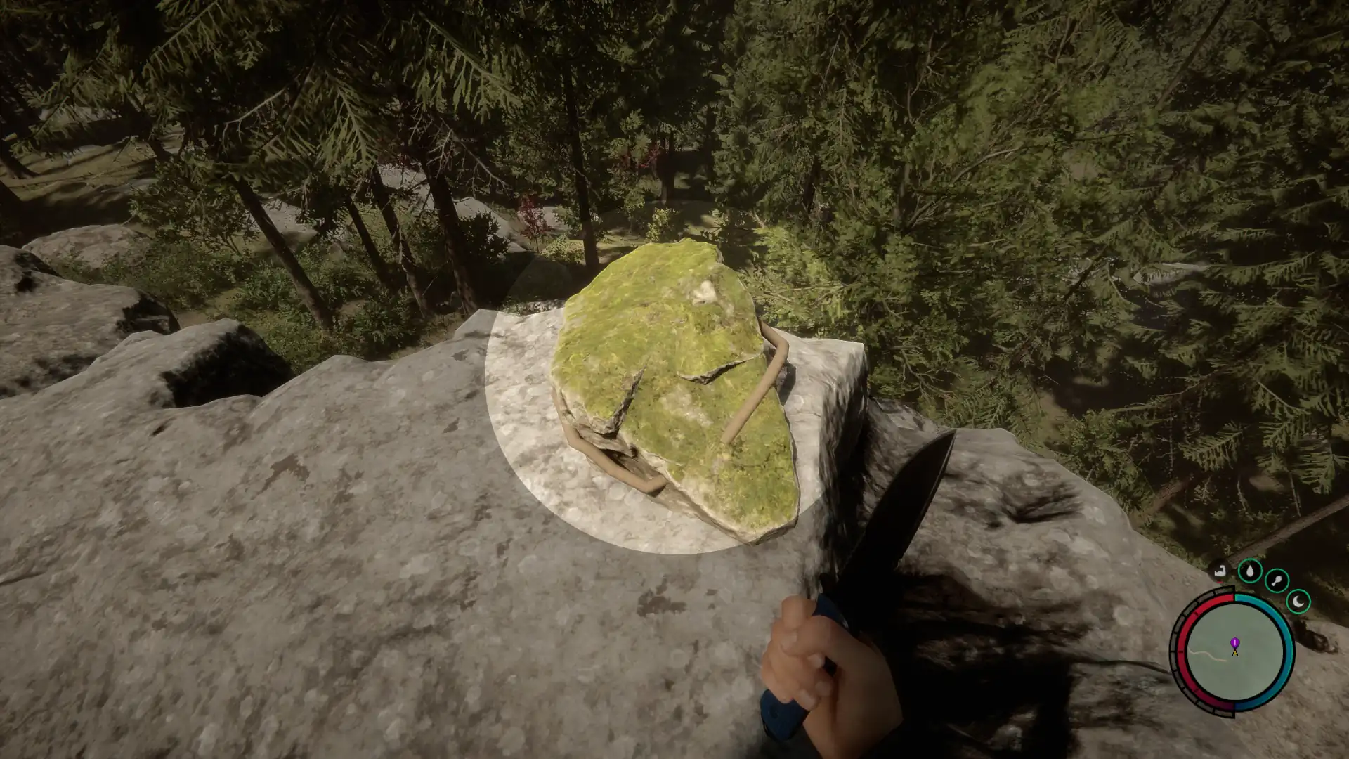 Sons of the Forest Flashlight Rope Cutting