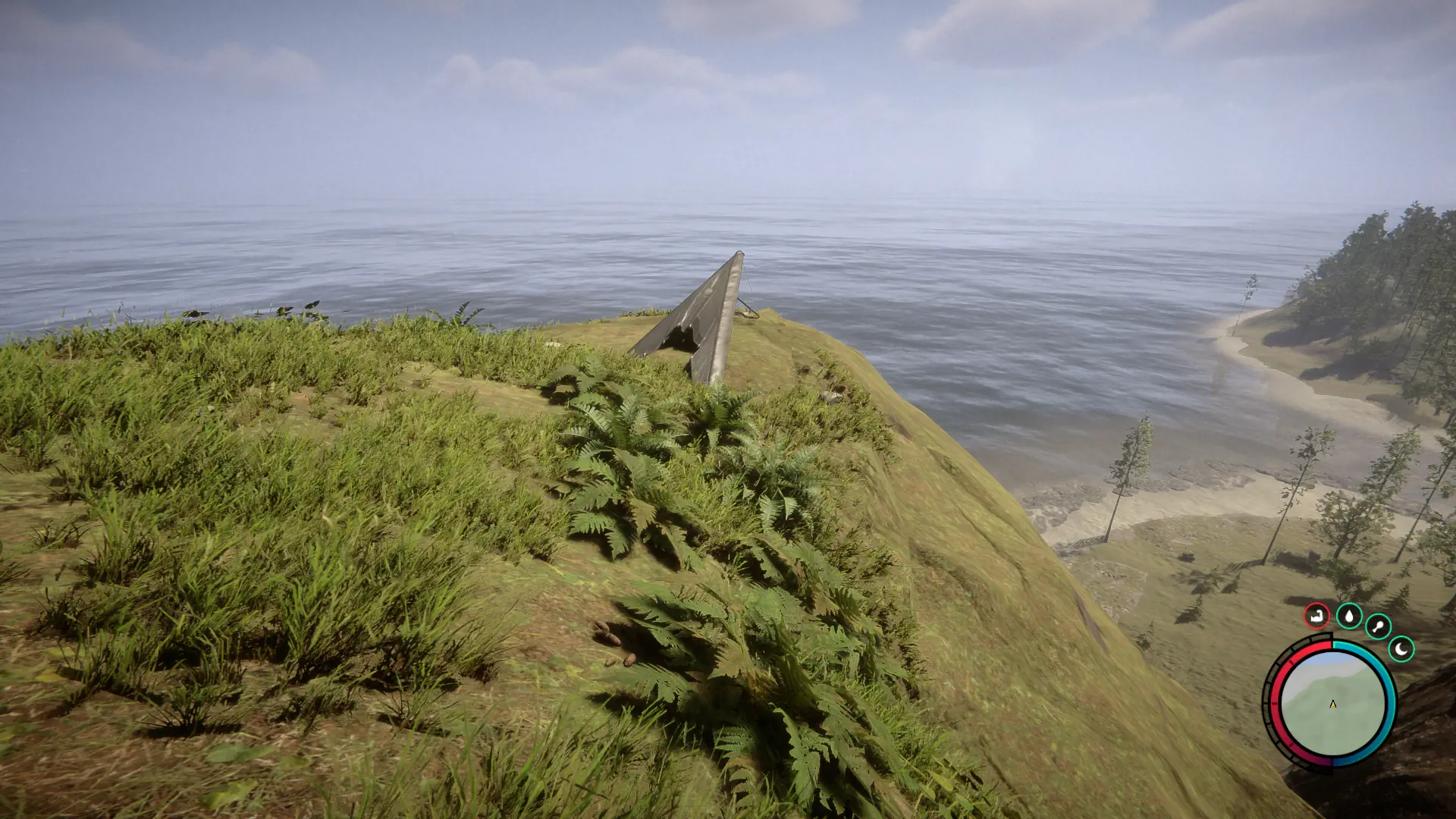 Sons of the Forest Glider Location 1